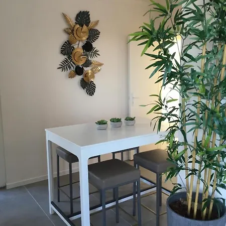 Helena Terras Penthouse أوستيند